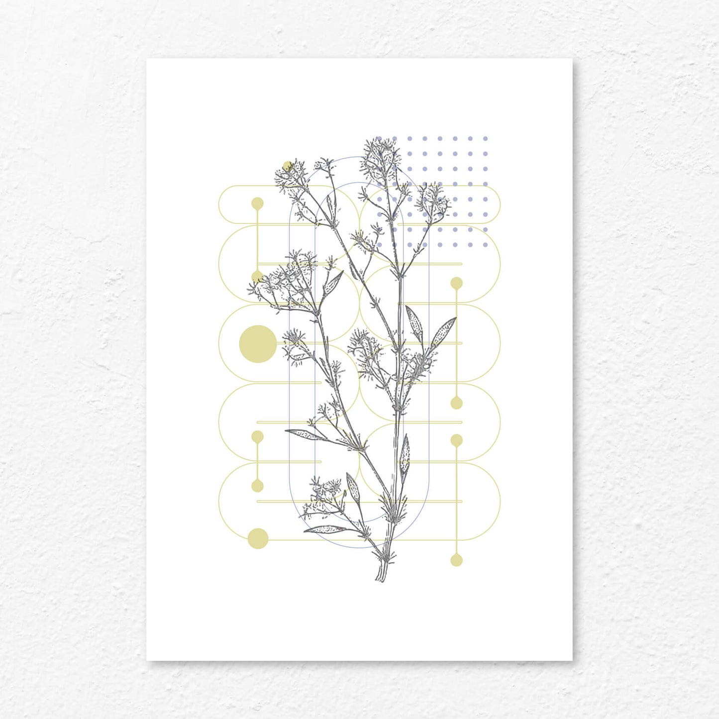 Flowers Geometric B