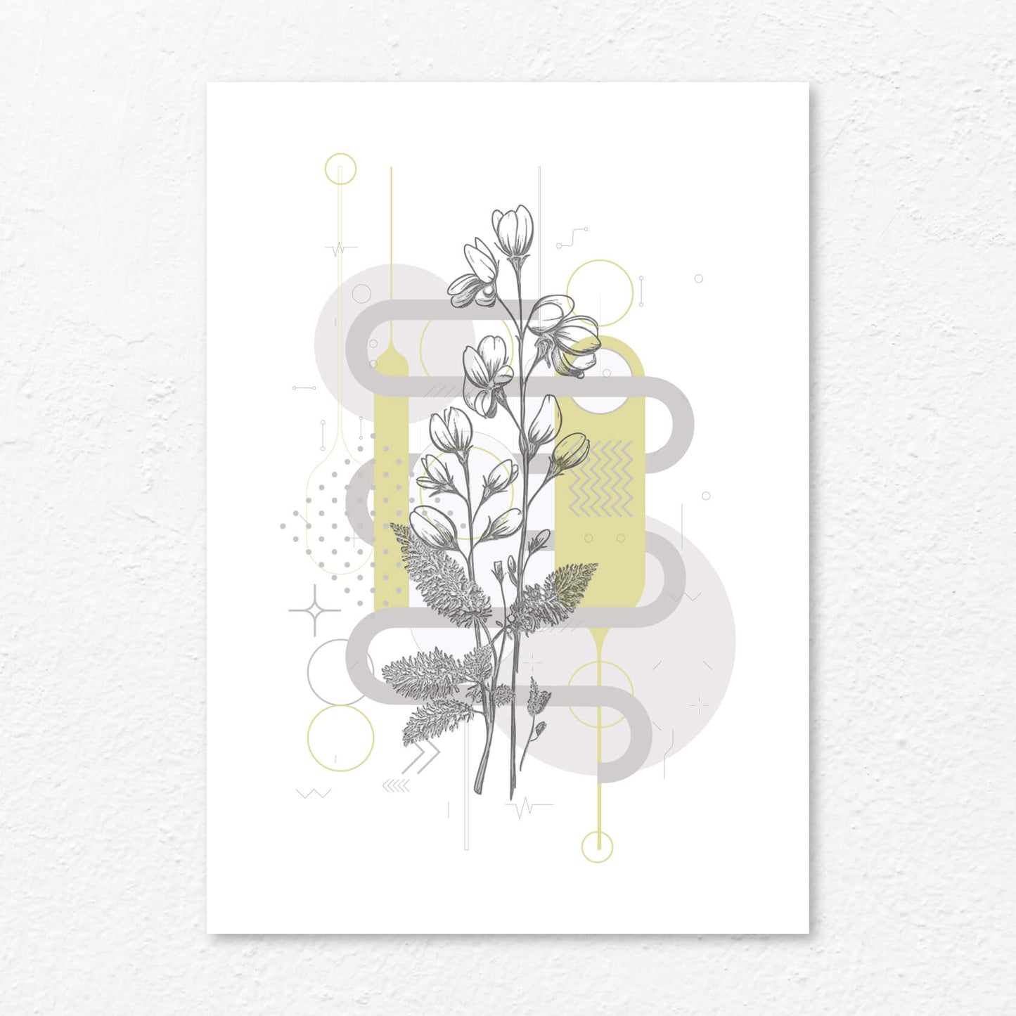 Flowers Geometric D